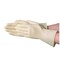 Vguard Chemical Resistant Gloves, 13.0 MIL, Natural, 288 PK C23A49 - alternate 3